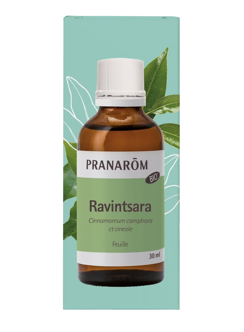 PRANAROM Pranarôm Bio Essential Oil Ravintsara (Cinnamomum camphora CT cineole) 10 ml - Image 5